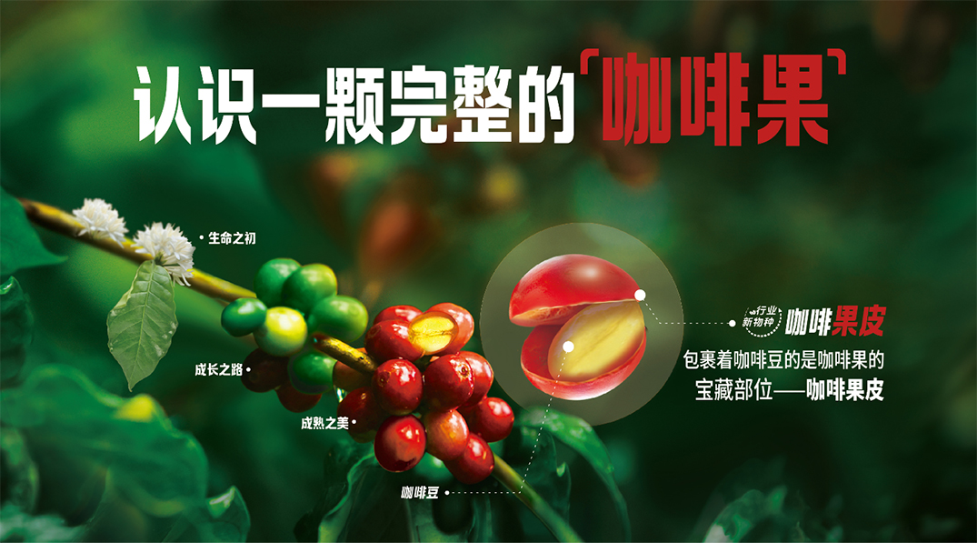 果然轻咖震撼上市