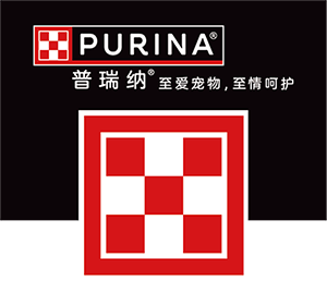 历史