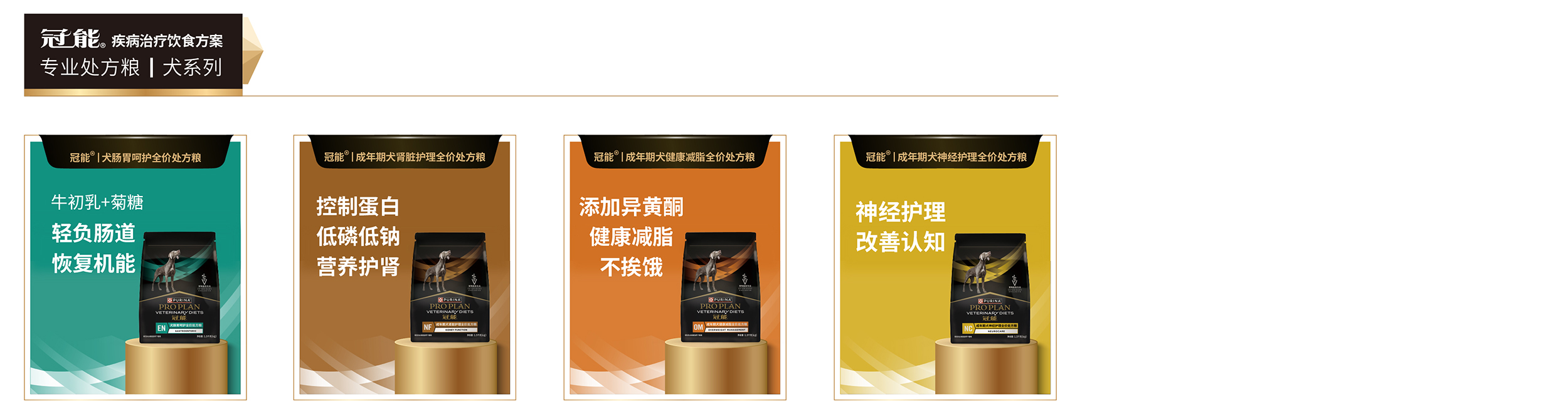 疾病治疗饮食方案