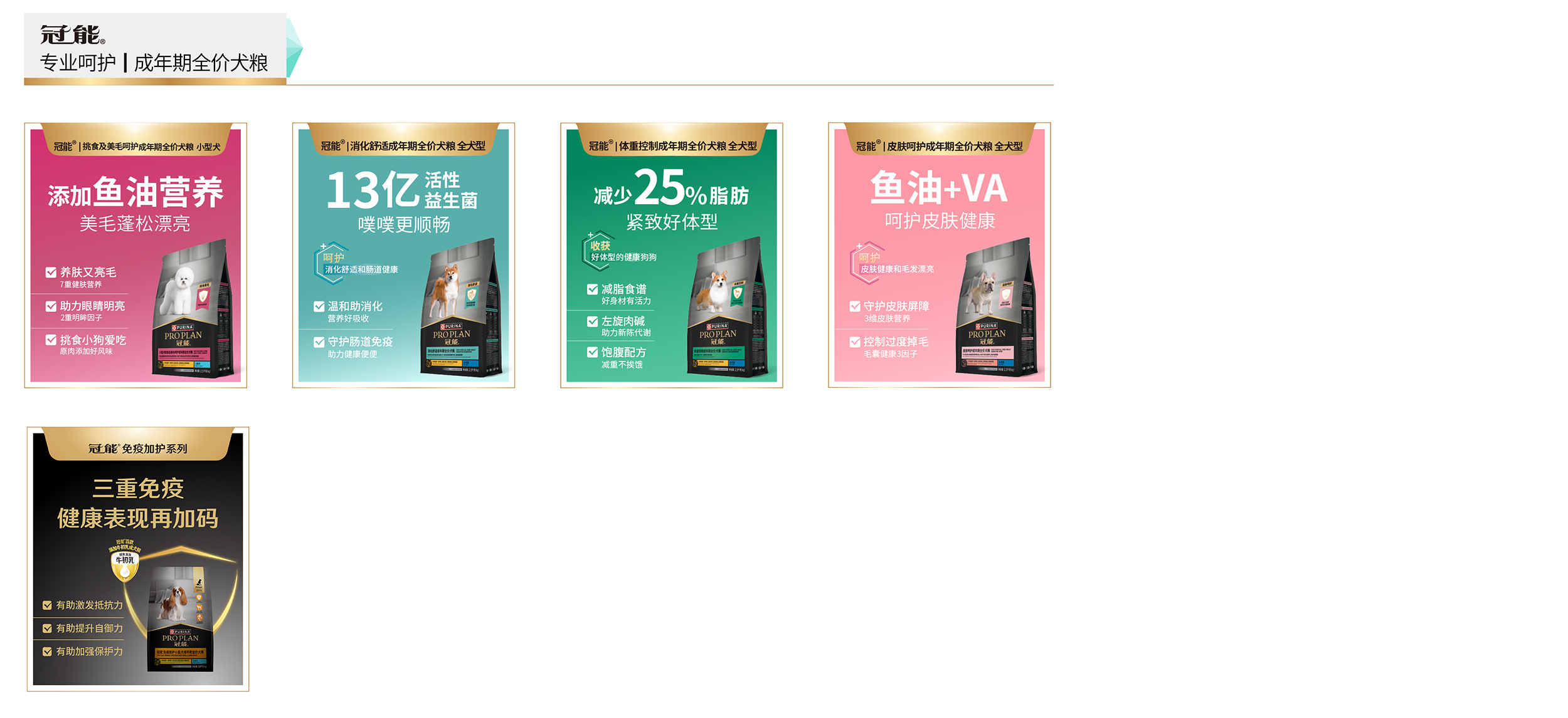 日常饮食方案
