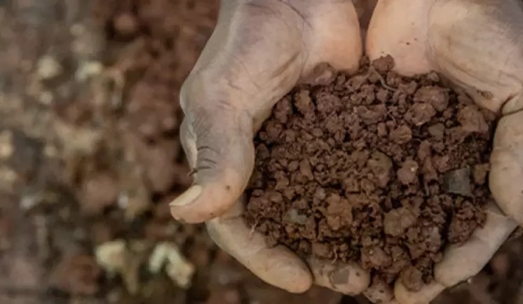 20260324-sustainability-raw-materials-cereals-soils-wide.jpg
