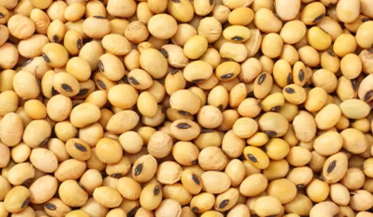20260325-sustainability-raw-materials-soy-beans-wide-a.jpg