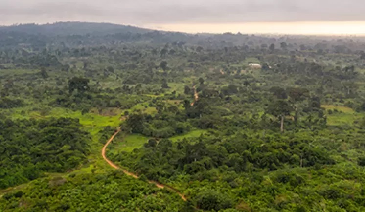 20260325-sustainability-raw-materials-soy-landscape-wide.jpg