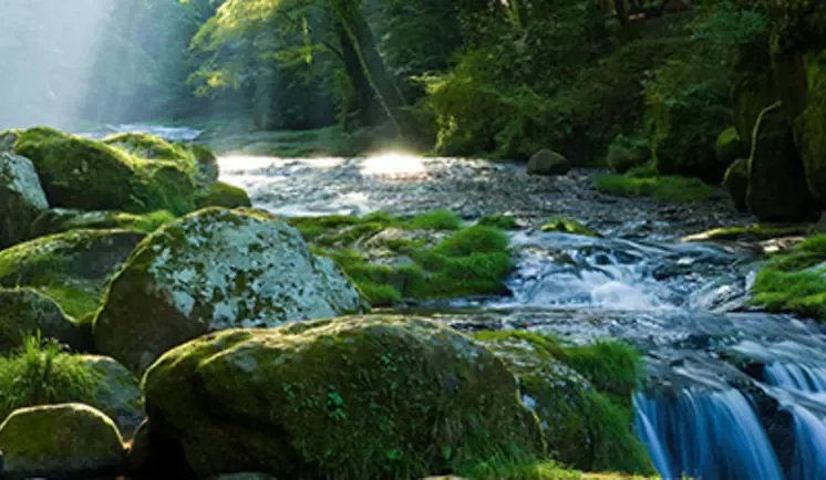 20260325-sustainability-water-operations-impact-wide.jpg