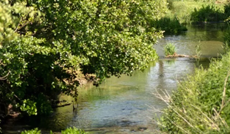 20260326-sustainability-water-communities-water-pledge-river-wide.jpg