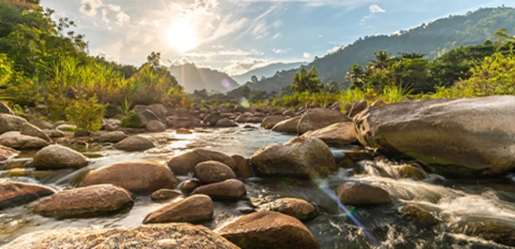 20260326-sustainability-water-communities-water-pledge-water-stewardship-wide_0.jpg