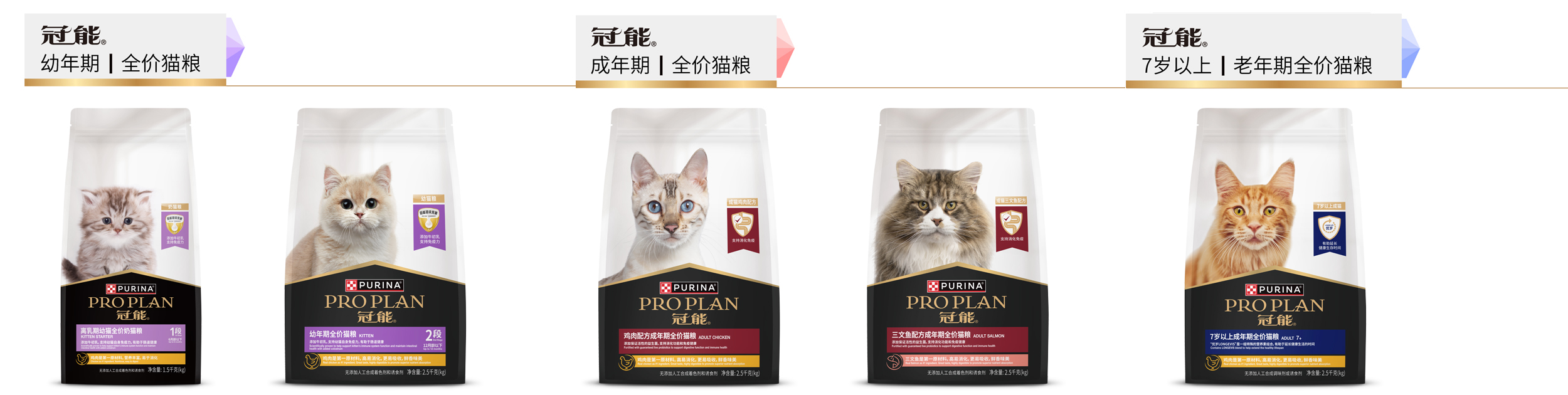 日常饮食方案