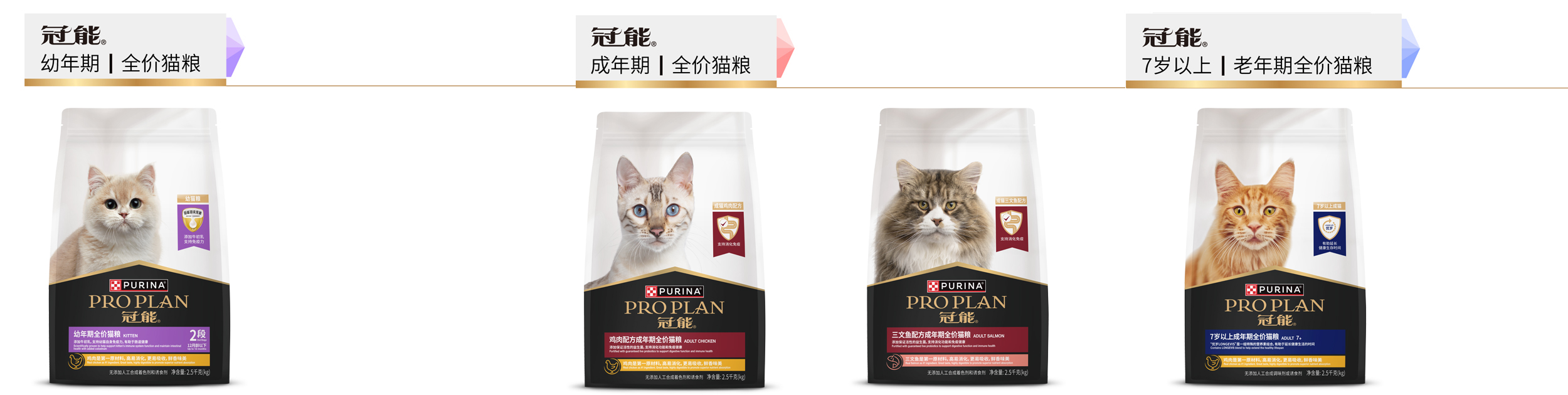 日常饮食方案