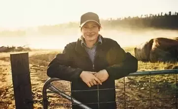 工作成果和报告