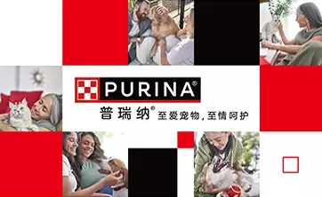 宠物护理