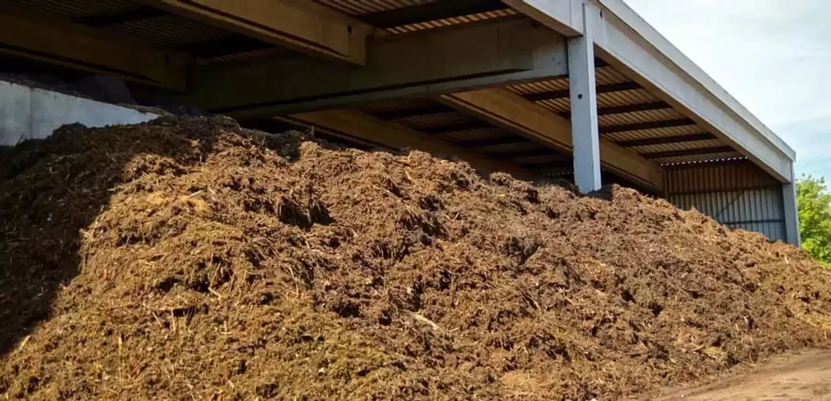20260319-sustainability-nature-biodiversity-compost-soil-wide
