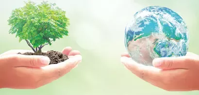 创新的力量 EcodEX:可持续发展领导者的秘密武器