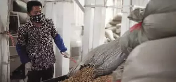 雀巢扩大在华采购咖啡豆规模 看好中国市场