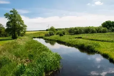 自然