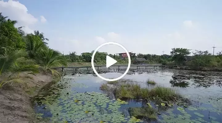雀巢优活