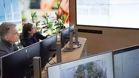 数据保护与隐私