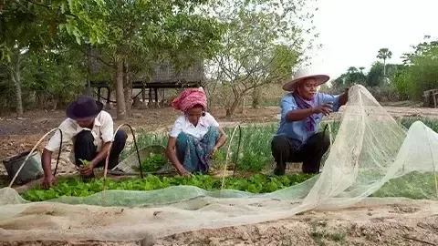生计收入与生活工资