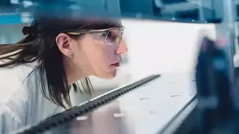 数字化创新
